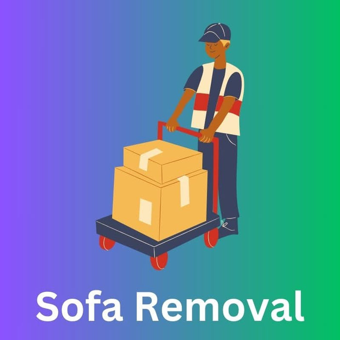Removal Of 1 Piece Sofa 99